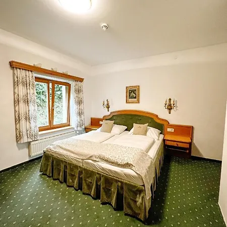 Guest house Pass Lueg 3*