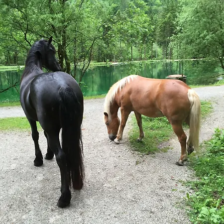 Pass Lueg 3* Golling an der Salzach